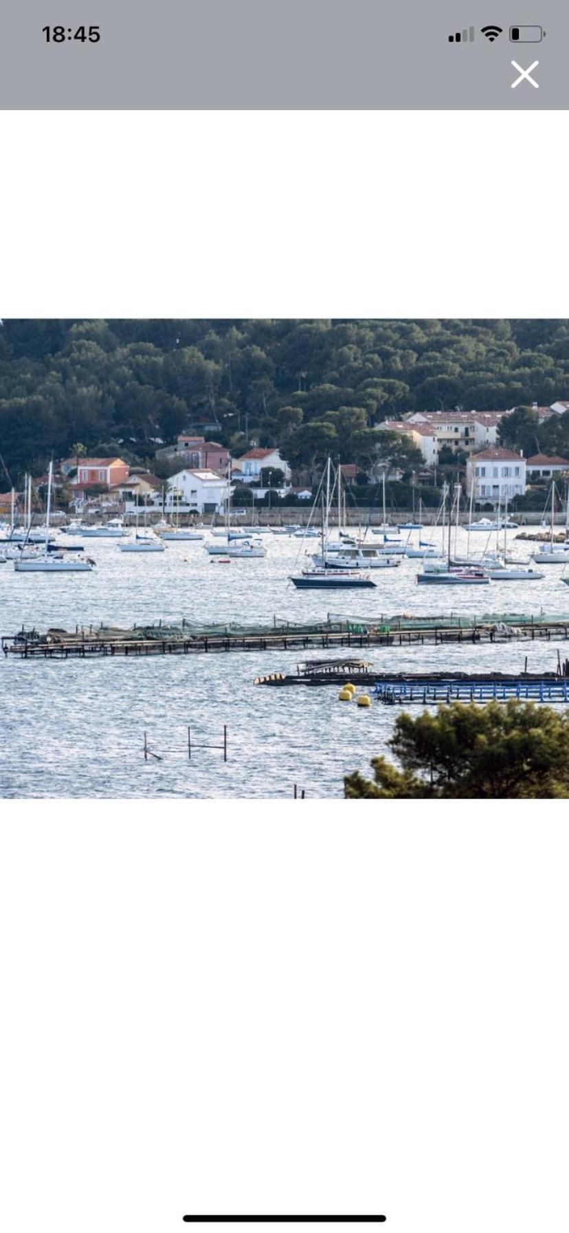 Studio Avec Vue Mer Et Terrasse La Seyne-sur-Mer Dış mekan fotoğraf